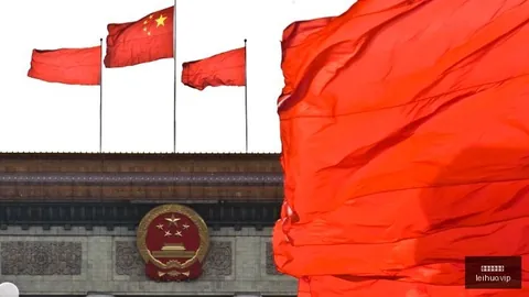 体验的力2026年大学联赛巅峰对决即将揭晓